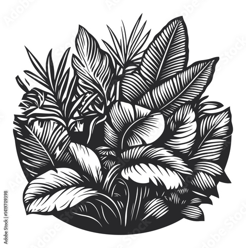Detailed Engraving of Various Tropical Leaves and Plants in Monochrome