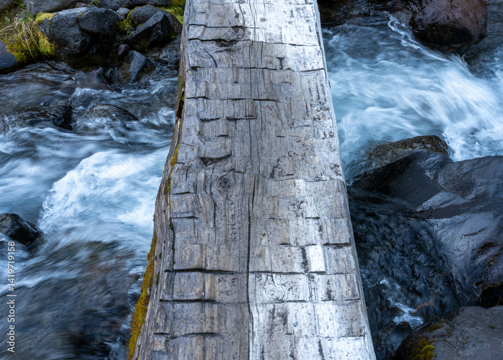 Van Trump Creek Flows Under Old Log Bridge In Mount Rainier