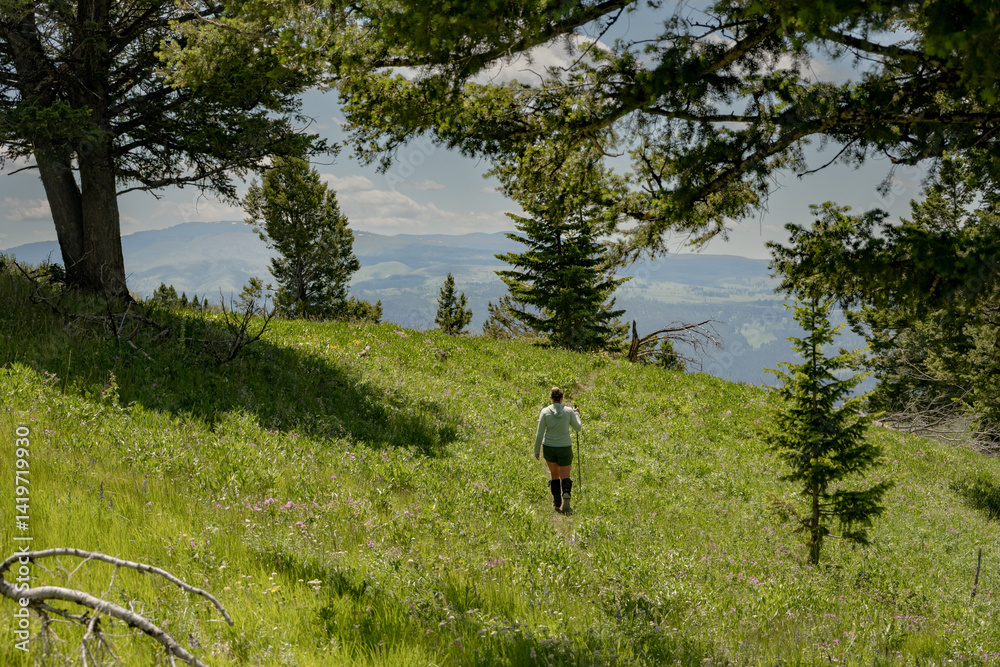 Woman Crosses Meadow on Thin Trail in Yellowstone