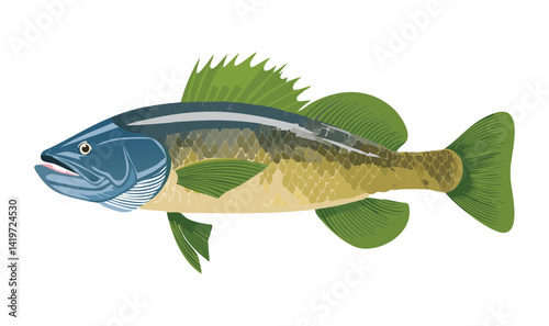Vector Illustration Snakehead Fish
