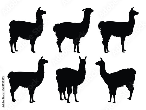 Set of Llama Silhouettes in Various Poses - Wildlife and Farm Animal Vector Collection.