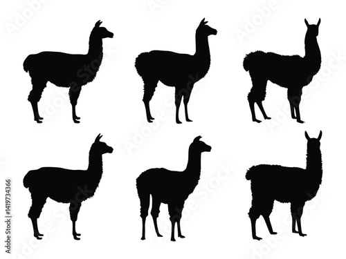 Set of Llama Silhouettes in Various Poses - Wildlife and Farm Animal Vector Collection.