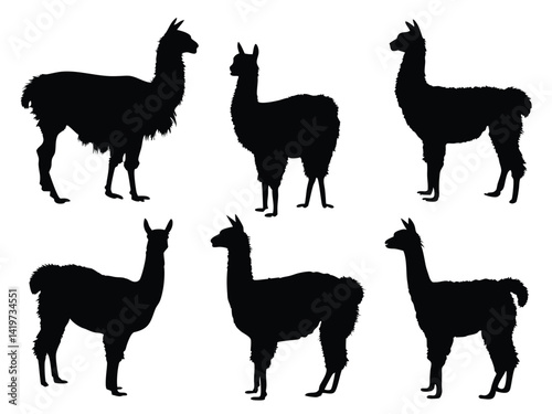 Set of Llama Silhouettes in Various Poses - Wildlife and Farm Animal Vector Collection.