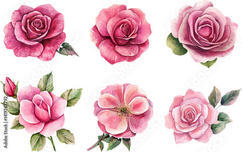 set of pink roses