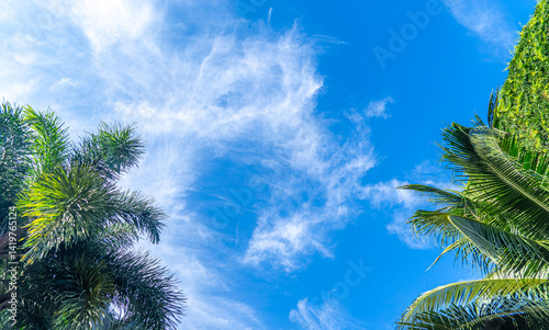 The sky is mostly cloudy