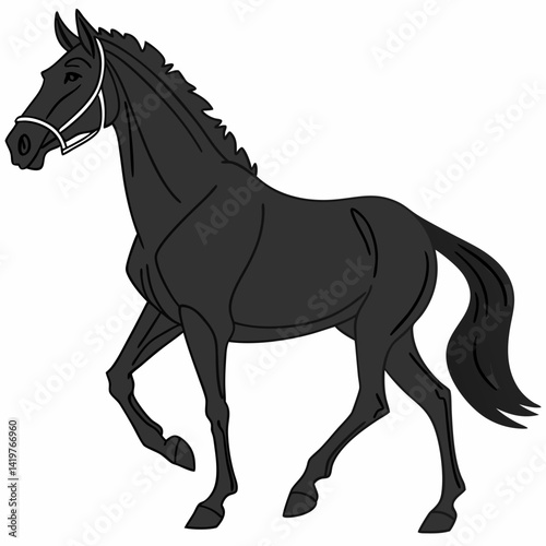 black horse vector illustration