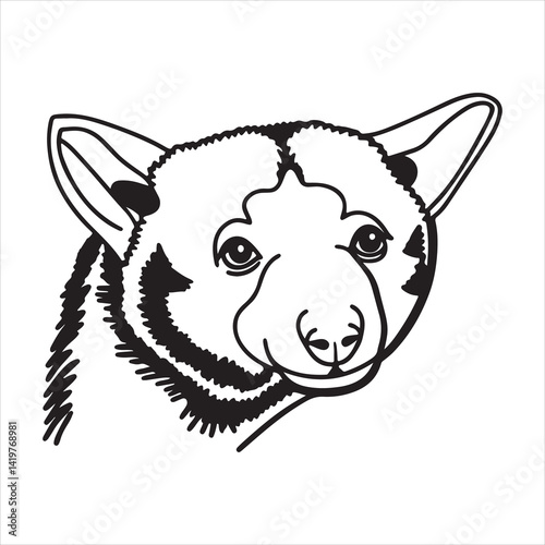 Rainforest Tree Kangaroo – Rare Climber of the Canopy