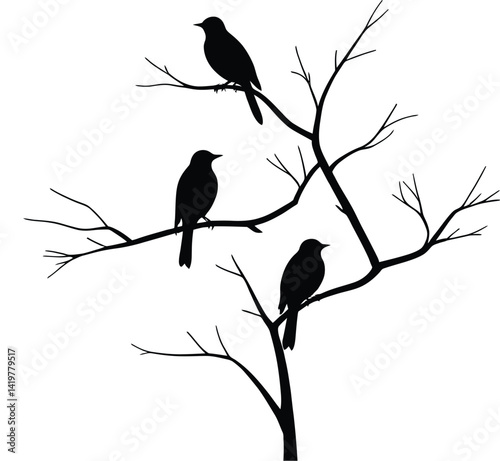 Silhouette Birds on Branch Vector | Minimal Black and White Art
