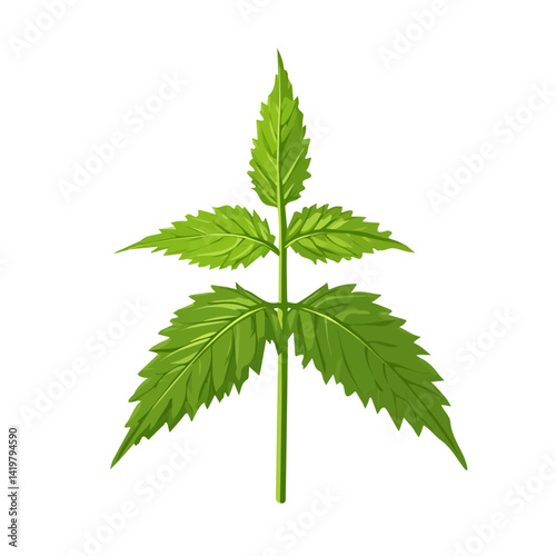A Very Simple flat 2D icon nettle branch isolated on a white background, vector, flat design, vector, animation design, simple flat 2D icon, minimalist and modern design, 2D design