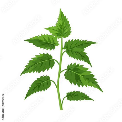 A Very Simple flat 2D icon nettle branch isolated on a white background, vector, flat design, vector, animation design, simple flat 2D icon, minimalist design, vector design