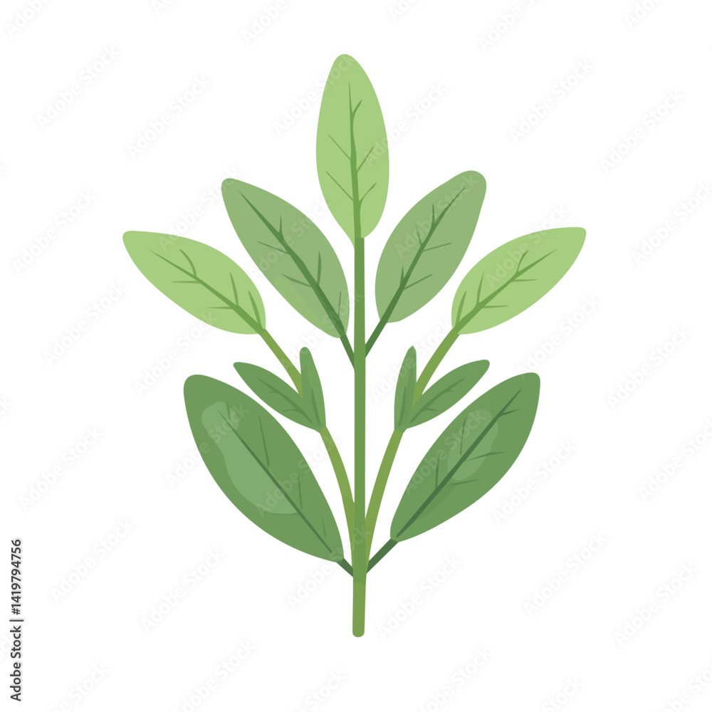 My Simple flat 2D icon sage branch isolated on a white background, vector, flat design, animation design, vector, simple flat 2D icon, minimalist and modern design My Simple flat 2D icon sage branch isolated on a white background, vector, flat design, animation design, vector, simple flat 2D icon, minimalist and modern design
