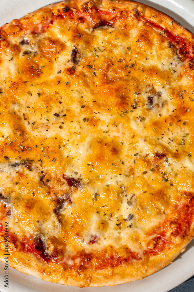 Pizza funghi with tomato sauce, mozzarella and fresh mushrooms Pizza funghi with tomato sauce, mozzarella and fresh mushrooms