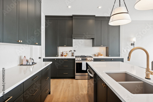 Kitchen with black cabinets and a white countertop