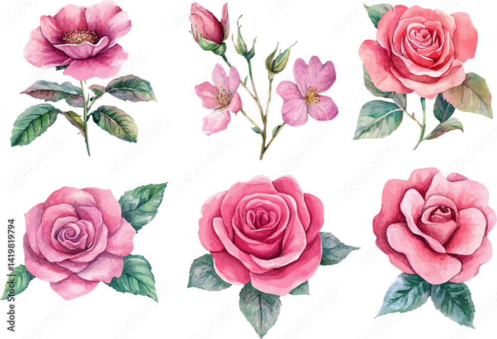 Fototapeta premium set of roses vector illustration