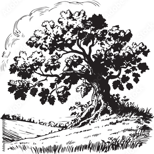 Classic hand-drawn oak tree artwork with fine ink detailing on branches and leaves offering a timeless vintage botanical look suitable for nature lovers and illustrators