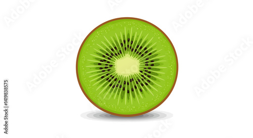 Vector Close up of a green kiwi fruit