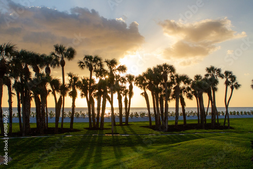 Sunsets Over Beaches, Palm Trees and Oceans