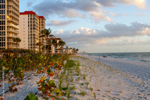 Sunsets Over Beaches, Palm Trees and Oceans