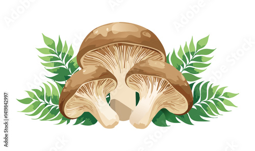 Vector Illustration of Maitake Mushrooms with Grass