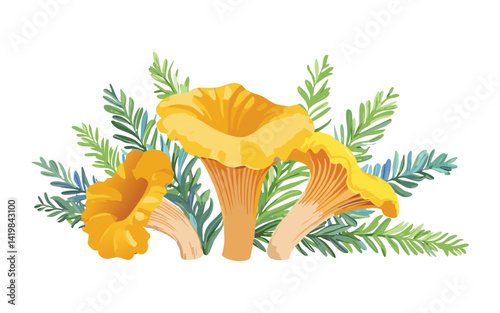  Vector Illustration of Yellow Chanterelle Mushroom and Herbs