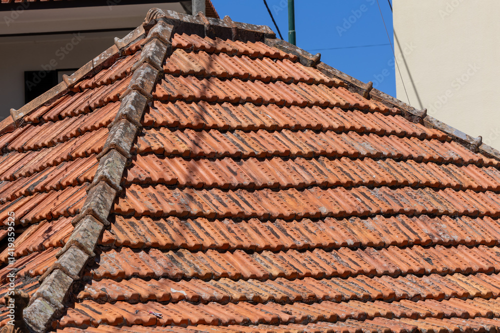 Naklejka premium Terracotta Rhythms of Madeira Rooftops – A Glimpse into Traditional Architecture