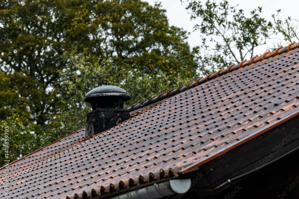 Fototapeta premium Terracotta Rhythms of Madeira Rooftops – A Glimpse into Traditional Architecture