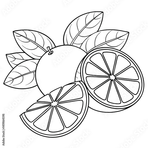 Orange Fruit Segments Leaves Outline