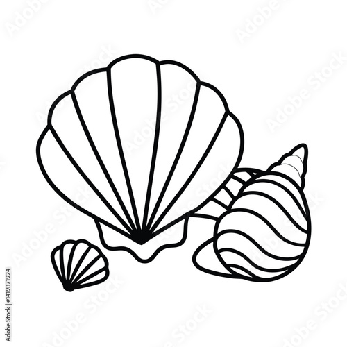 Seashell Outline Vector Illustration With Scallop And Spiral Shell Isolated On White Background