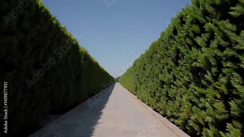Lush Green Hedge Maze Pathway Leading Towards a Bright Blue Sky