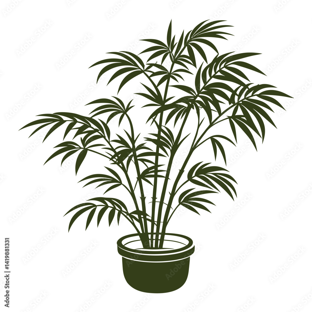 palm tree in a pot palm tree in a pot