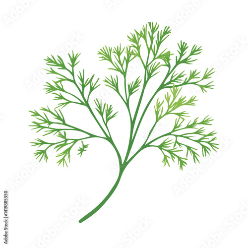 Very Simple flat 2D icon dill isolated on a white background, vector, flat design, vector, animation design, simple flat 2D icon, minimalist and modern design