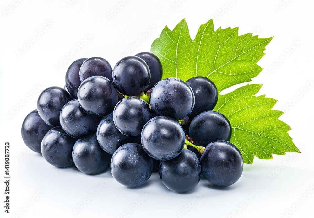 Fototapeta premium Fresh dark grapes with leaves (5)