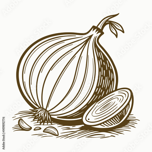 onion vector illustration