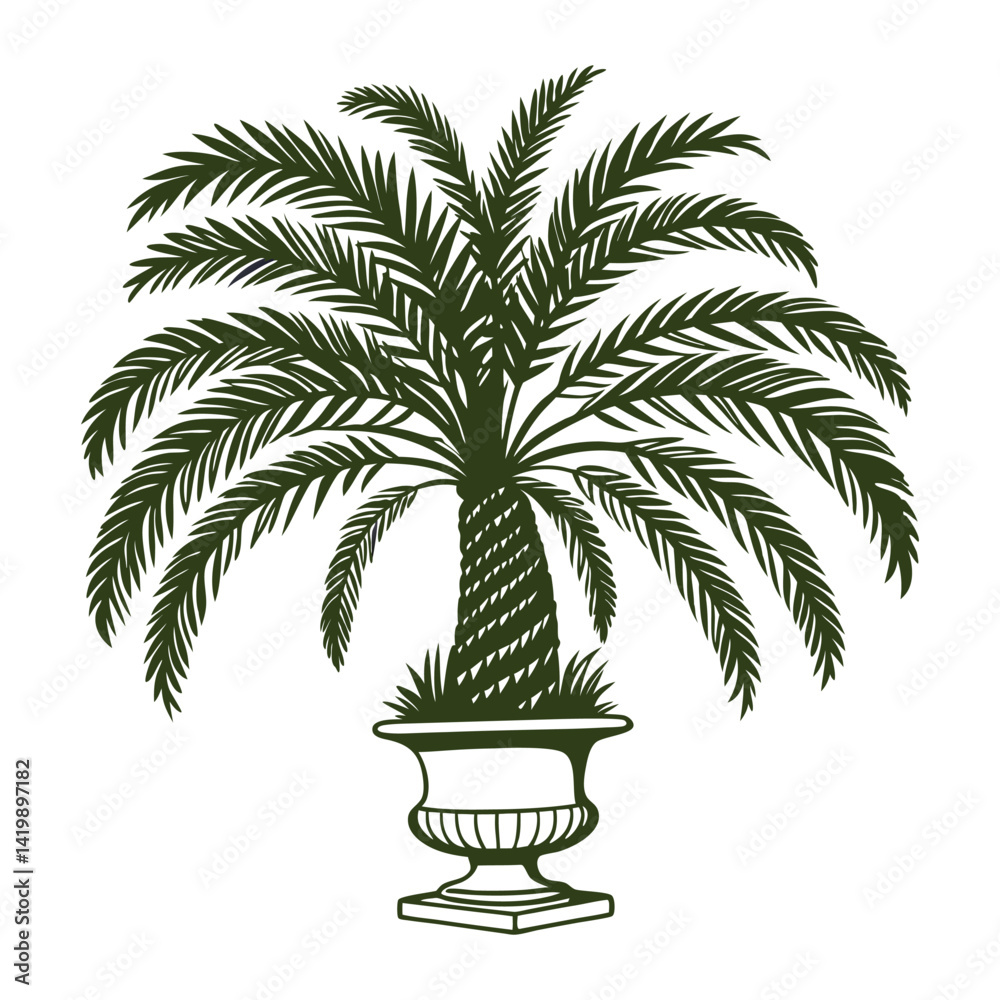 Obraz premium palm tree vector illustration
