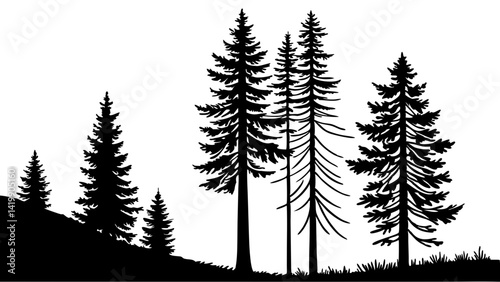 Fir trees silhouette line art illustration