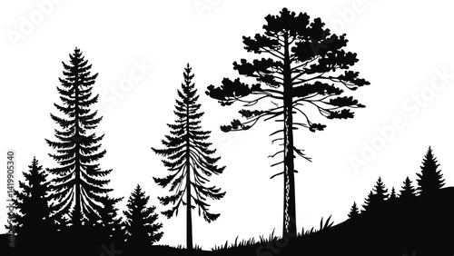 Fir trees silhouette line art illustration