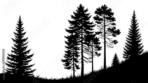 Fir trees silhouette line art illustration