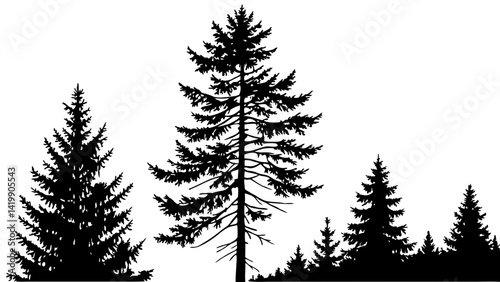 Fir trees silhouette line art illustration