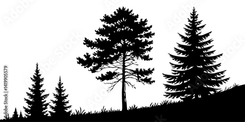 Fir trees silhouette line art illustration
