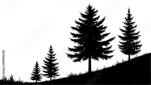 Fir trees silhouette line art illustration