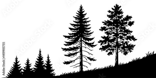 Fir trees silhouette line art illustration