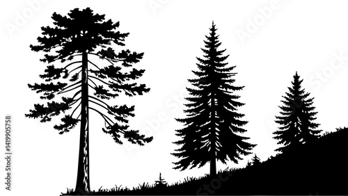 Fir trees silhouette line art illustration