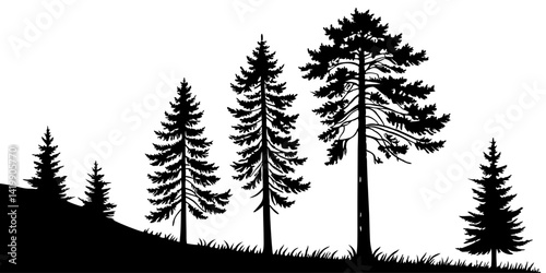 Fir trees silhouette line art illustration