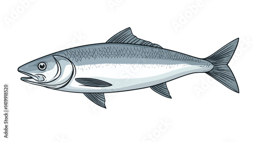 meticulously rendered illustration shows a grayling in profile against a plain white background. The depiction is extremely detailed, highlighting the silvery grey scales.
