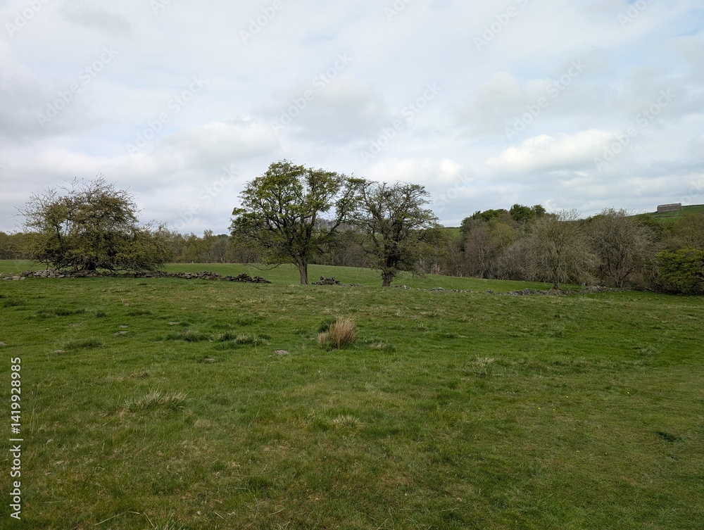 Sparse trees on farmland on a cloudy day Sparse trees on farmland on a cloudy day