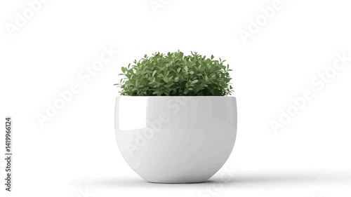 In the high-key studio photo, a small, round green plant sits in a sleek, white bowl-shaped pot. It has lush leaves and a spherical shape.