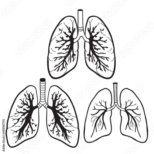 human lungs vector silhouettes