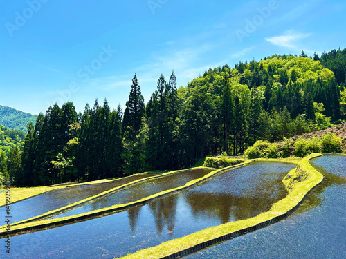 水の張った棚田 photo