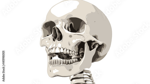 detailed 3D rendering of a human skull from a side view, set against a pure white background. The image shows the bones of the skull in high resolution.