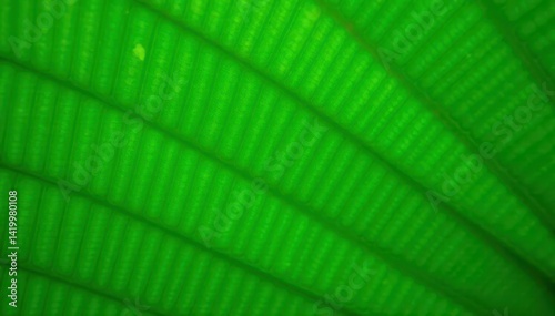 Horizontal stripes of vibrant green leaves, creating a natural texture , design element, artwork